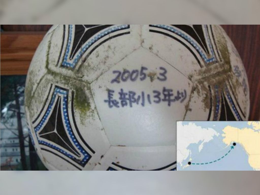pelota hallada en Estados Unidos