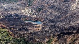 Foto: Greenpeace Foto: Greenpeace