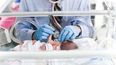 hospital materno infantil: mas de 50 prematuros nacen cada ano