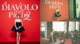 Es argentina, modelo y deslumbra en “El Diablo viste a la moda 2″.