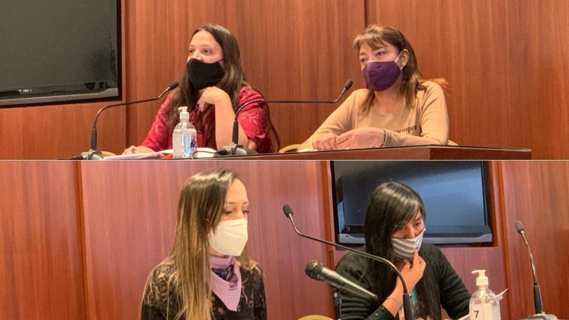 Todo Jujuy | Organizaciones en la Legislatura.jpg