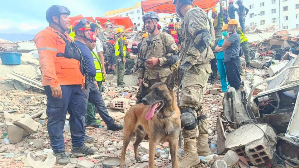 Bart, el perro rescatista argentino que encontró a dos niños con vida