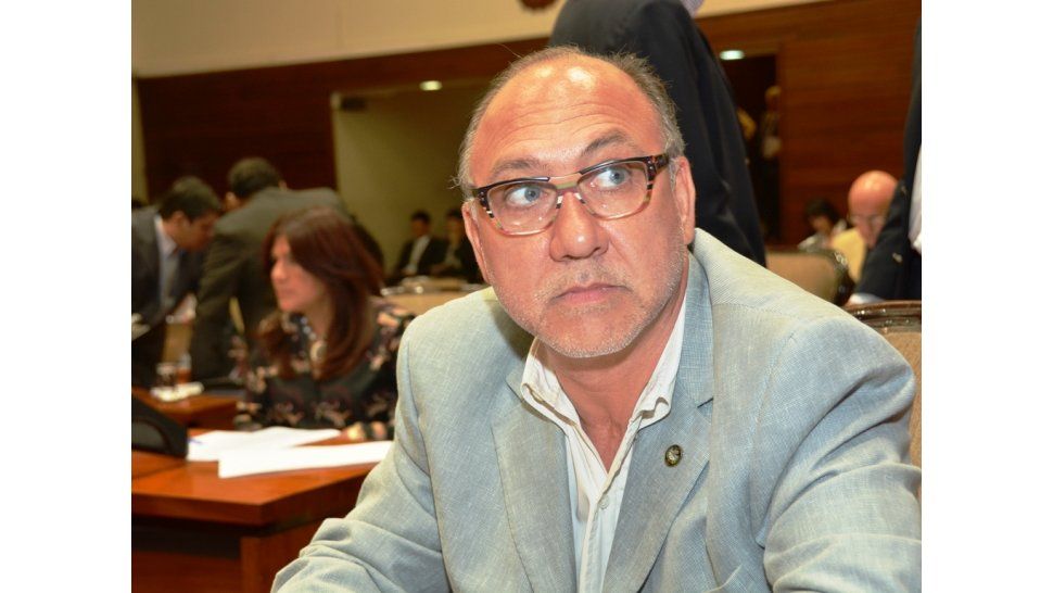 Luis de la Zerda - Diputado PJ