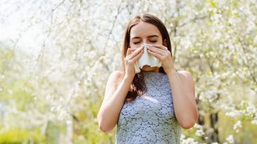 Alergia primaveral: síntomas, tratamiento y prevención.&nbsp;