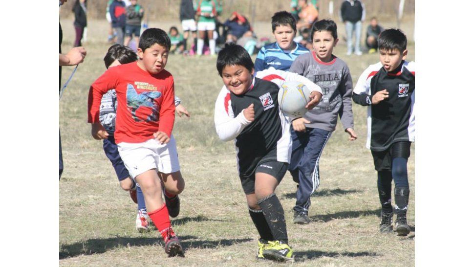 Encuentro de mini - rugby