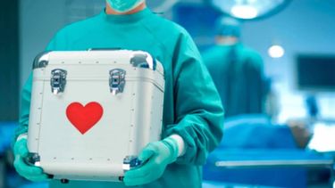 Se realizaron 6 ablaciones en lo que va del año en Jujuy.