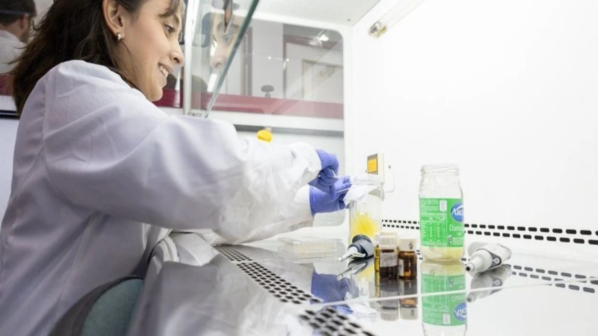 El aceite de oliva expulsa del organismo a la bacteria que produce gastritis y además&nbsp; produce la muerte de la bacteria.