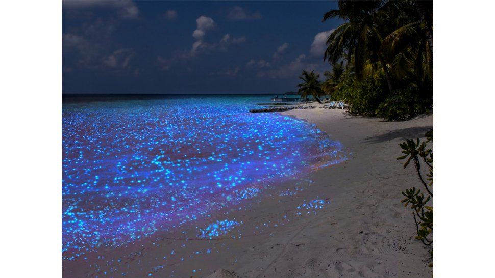 Isla Vaadhoo en Maldivas