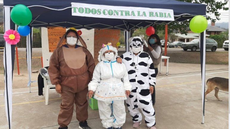 Campaña de castración en Reyes