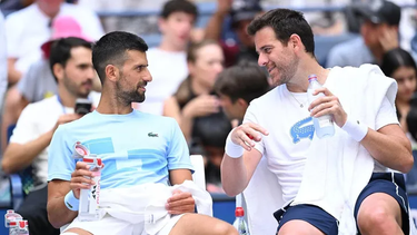Djokovic vendrá en diciembre a Argentina para disputar una exhibición contra Del Potro.&nbsp;