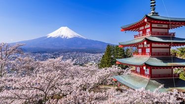 La tradicional estrategia de puerta a puerta es un enfoque eficaz para hallar trabajo en Japón.