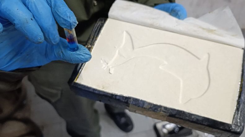 Incautaron más de 53 kilos de cocaína y desbarataron una banda narco que operaba en Jujuy, Salta y Tucumán