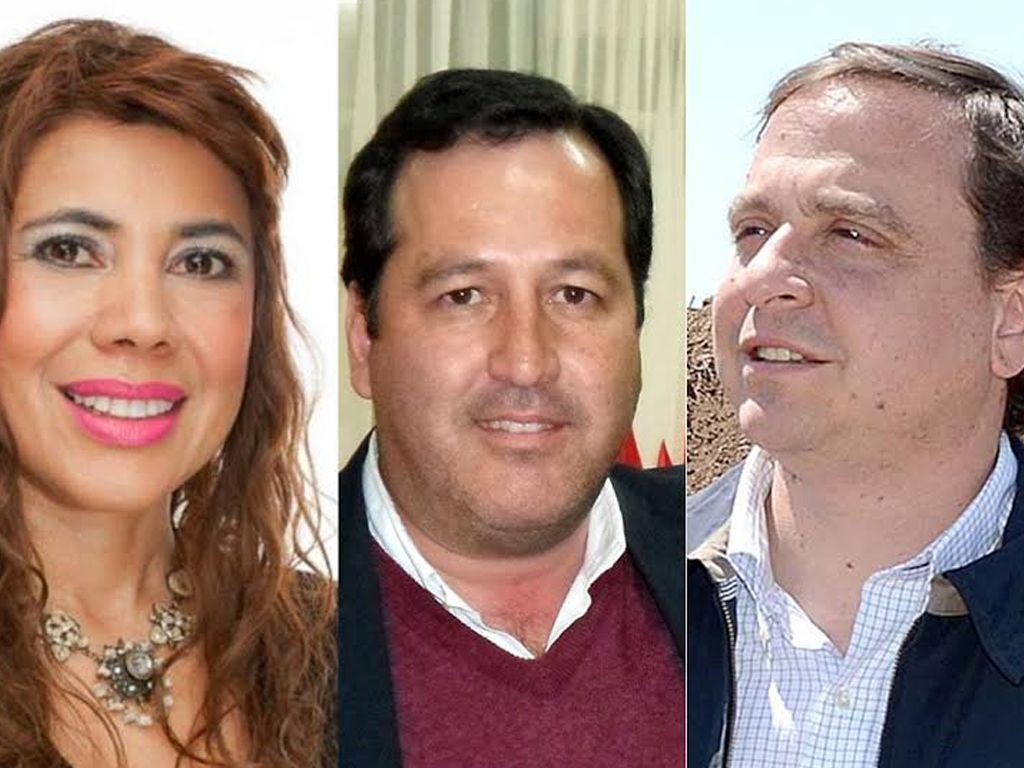 Candidatos electos a diputados provincia