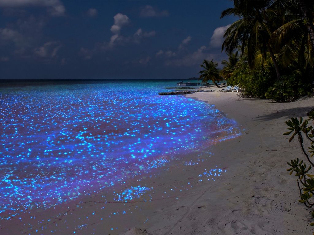 Isla Vaadhoo en Maldivas