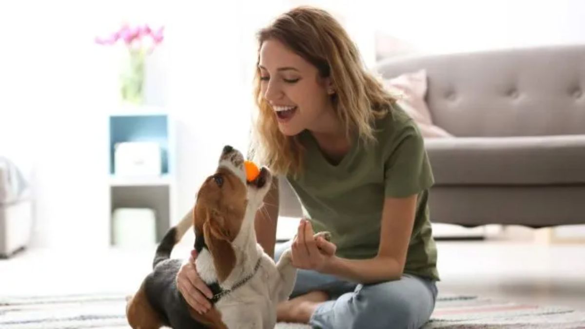 Un estudio internacional midió cómo influye tener una mascota en casa.
