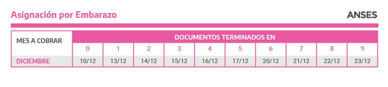 ANSES Jujuy: quiénes cobran hoy martes 30 de noviembre