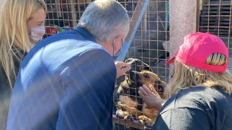 Morales a favor de la Ley contra el maltrato animal