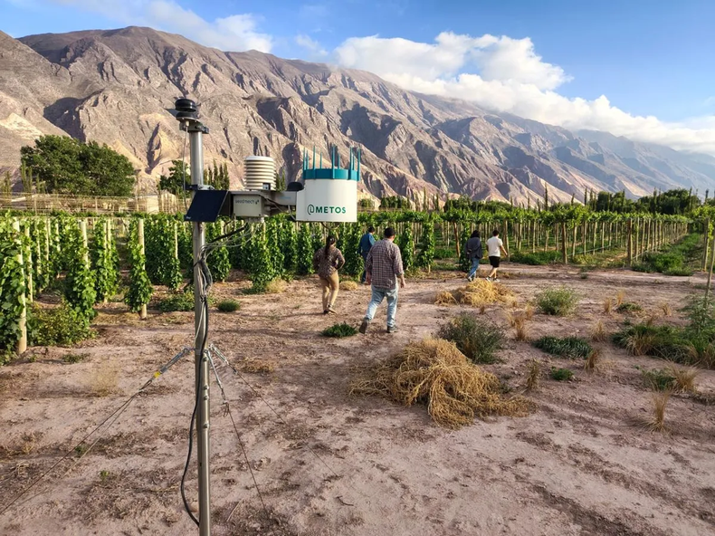 Lanzaron en Jujuy un Centro de Desarrollo Vitivinícola y una Red Agroclimática en la Quebrada.