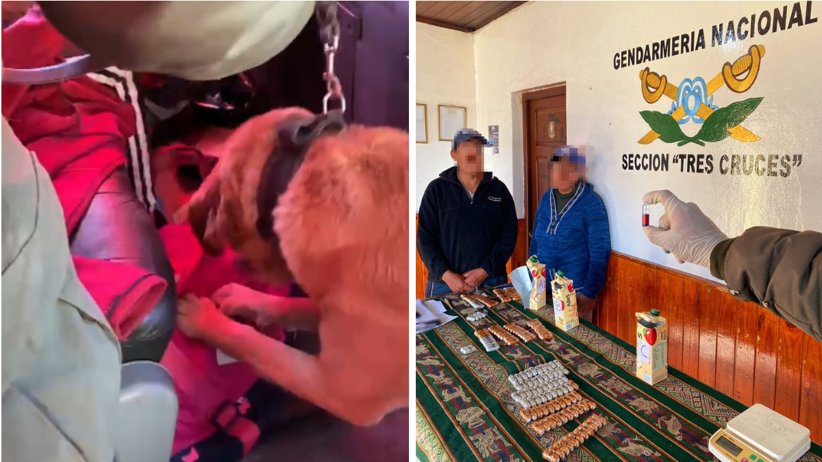 Ingirieroncapsulas de cocaína y quedaron detenidos