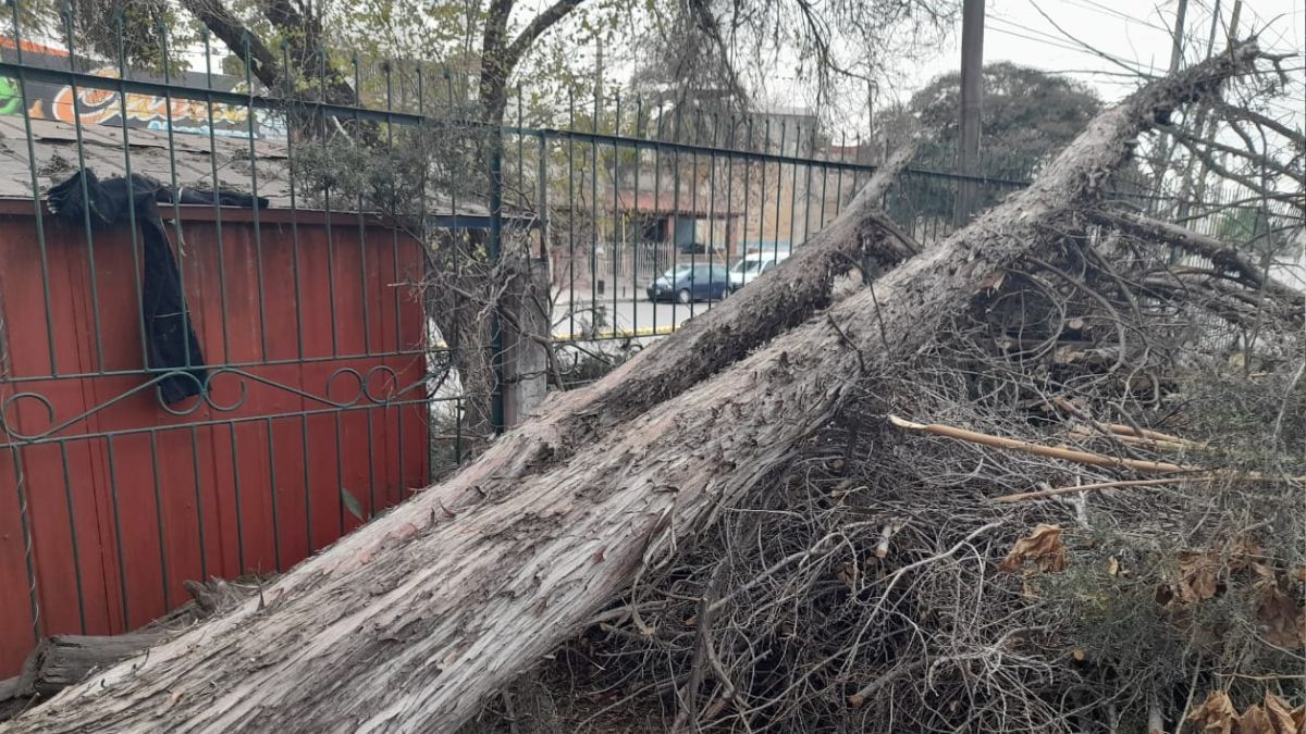 Viento norte: clases suspendidas por la mañana en la escuela Alberdi&nbsp;