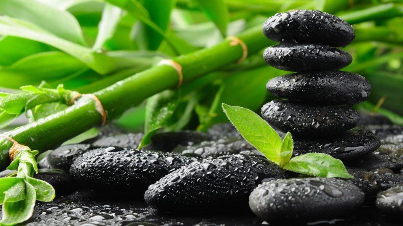 7 ideas clave del Feng Shui para atraer la buena fortuna a casa