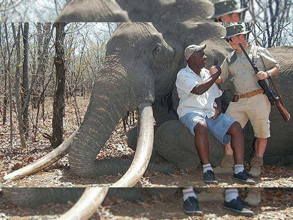 Alemán posa junto al elefante cazado