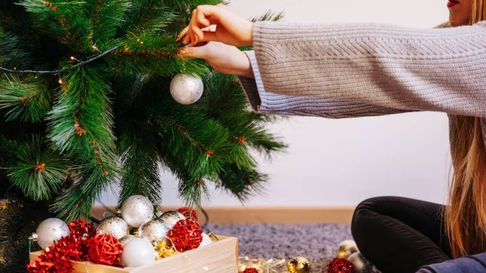 Todo Jujuy | arbolito navidad armar desarmar.jpg