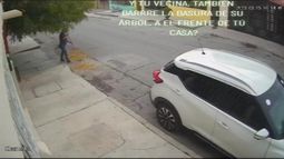 Una vecina en México fue escrachada en redes arrojando la basura a la casa de al lado.