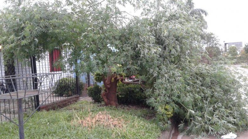 El temporal azotó Libertador y hubo daños e inundaciones en muchos barrios de la ciudad