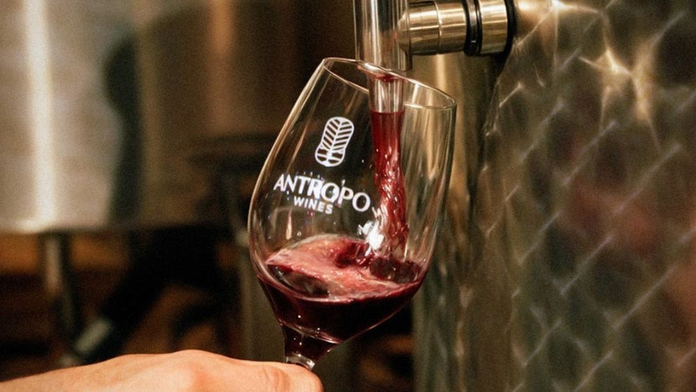 Entre velas y barricas: brindá en lo alto de Jujuy con la noche del Malbec