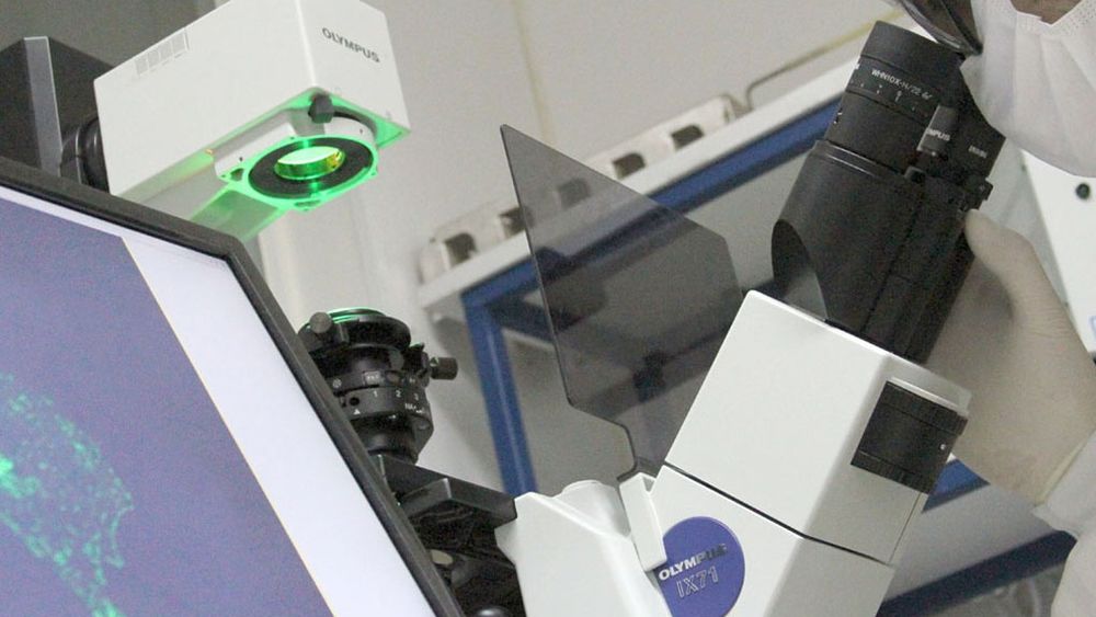 Intensa investigación