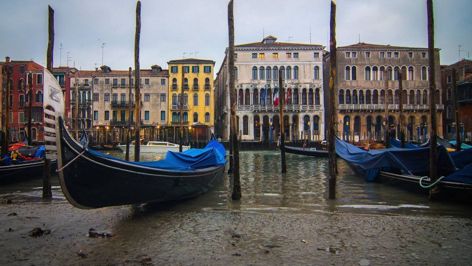 Insólito paisaje: los famosos canales de Venecia se quedaron sin agua