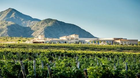 Todo Jujuy | Una experiencia que combina paisajes naturales, la herencia del vino local y actividades pensadas para aprovechar los días soleados.