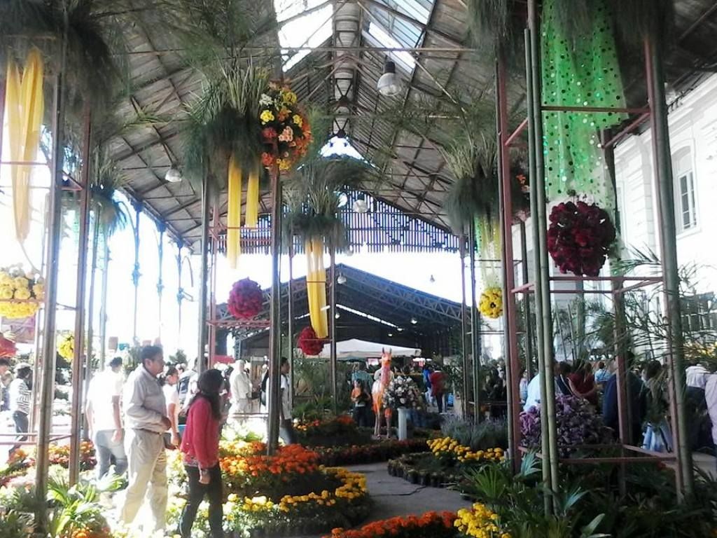 "La flor más bella"