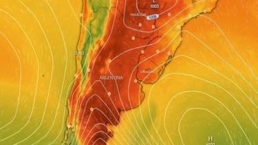 Por la ola de calor crece el riesgo de sufrir termoplejía y advierten cuál es el síntoma previo clave para evitarla. &nbsp;