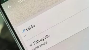 El truco de WhatsApp para saber si los que no tienen el tilde azul, te leyeron el mensaje.