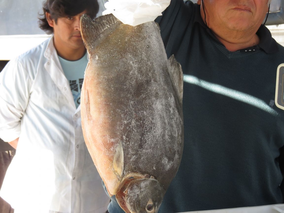 Pescado en Semana Santa