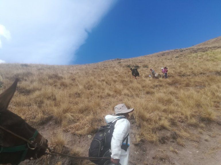 Encontraron a peregrinos que se dirigían a la fiesta patronal