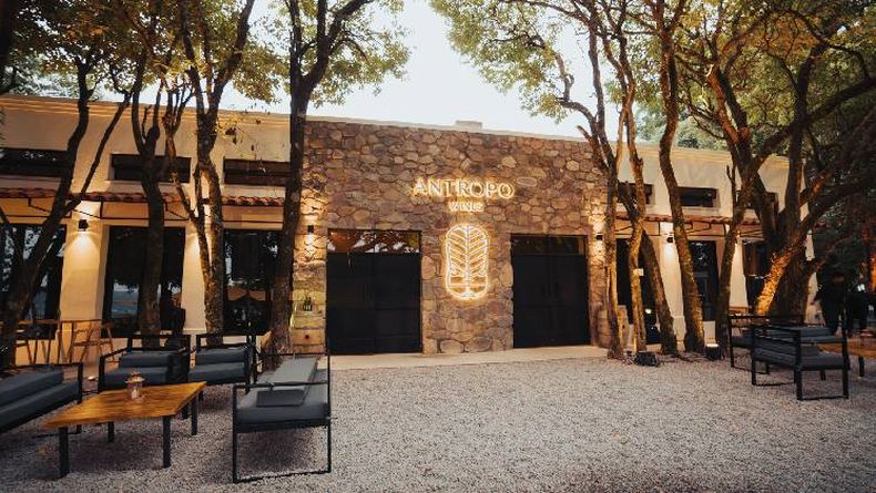 Antropo Bodega (4)
