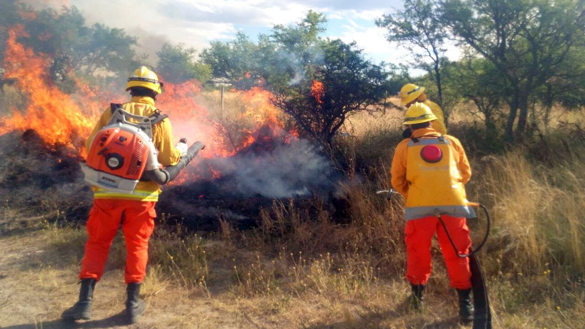 Incendio Forestal en Chalicán - Imagen alusiva