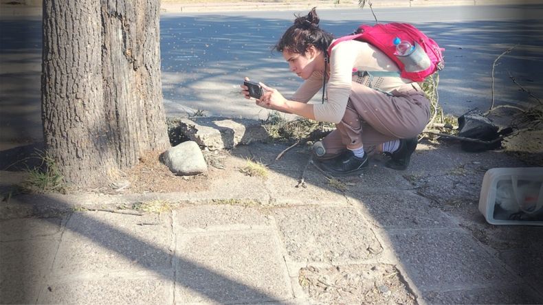 Fabiana Castro encabeza la investigación (Foto CONICET)