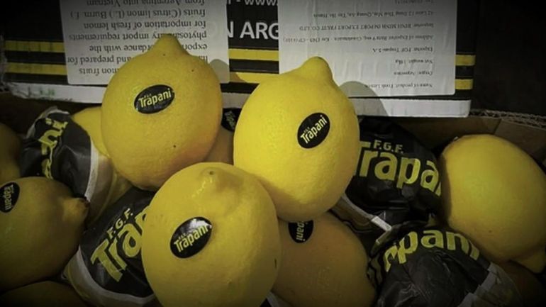 Esta semana se concretó la primera exportación de limones de Argentina a Vietnam en la que se trata de un contenedor de 25 toneladas enviado por la empresa FGF Trapani. 