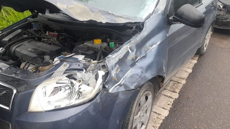 Triple choque en ruta 9 en la bajada de Alto Comedero: habría sido por esquivar un perro Triple choque en ruta 9 en la bajada de Alto Comedero: habría sido por esquivar un perro