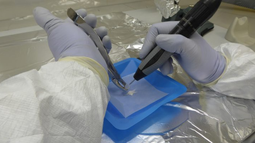 Trabajo en el laboratorio. Foto: gentileza IDACOR&nbsp;