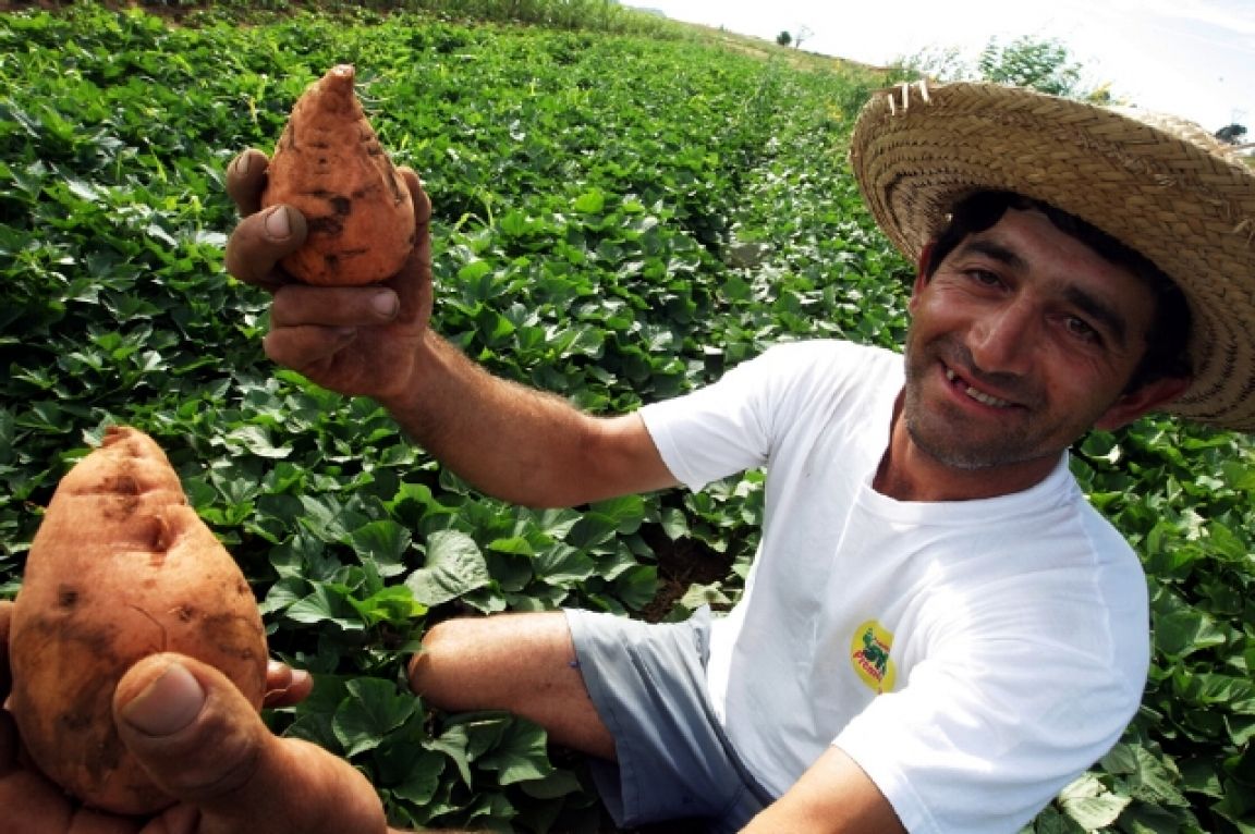 Agricultura Familiar