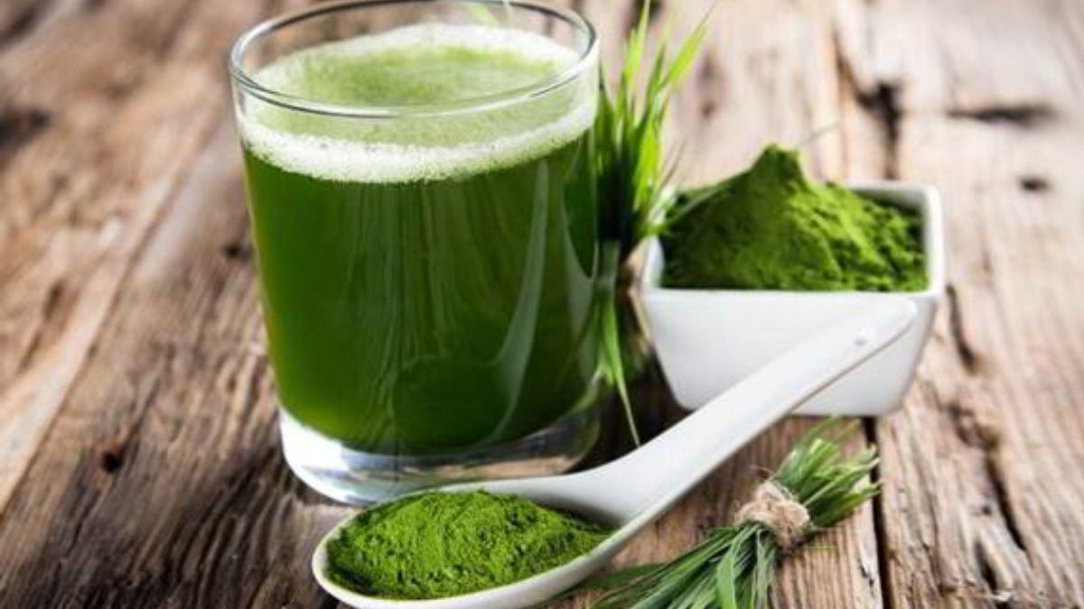 Qué es la espirulina, el superalimento que se produce en Jujuy