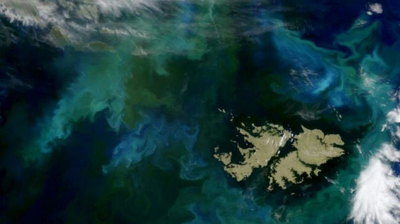 La empresa británica Rockhopper ratificó que producirá petróleo en Malvinas en 2028.