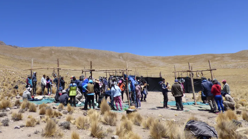Todo Jujuy | Esquila Sustentable de Vicuñas: balance mitad de temporada