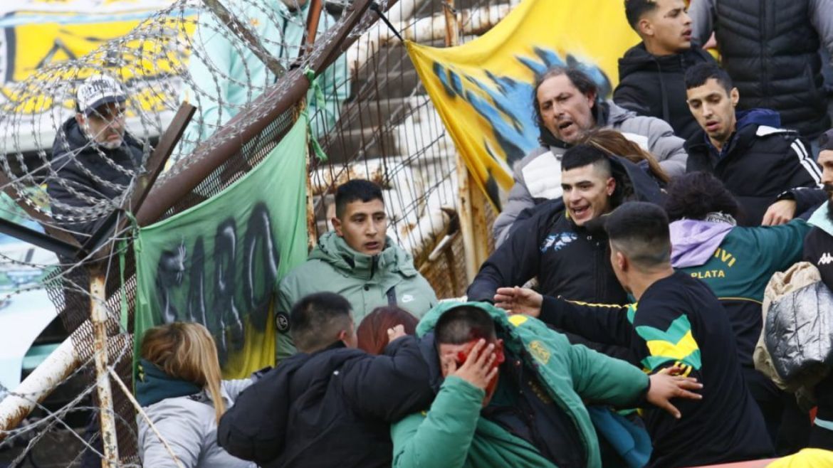 Violencia en la tribuna de Aldosivi.