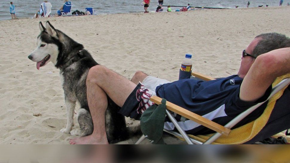 Playa canina: el balneario Yes!